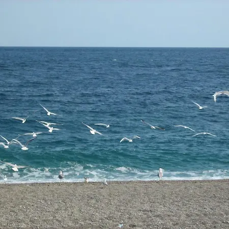 公寓 Terrazzo Siciliano 里波斯托